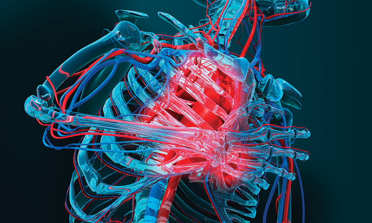 Implementing Change Evaluating The Accelerated Chest Pain Risk   16.01351 