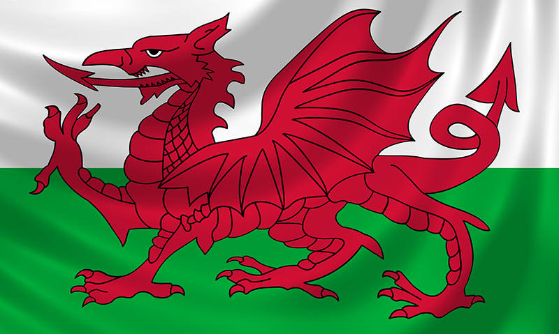 Lessons from Wales — how to embed sustainability and prevention in ...