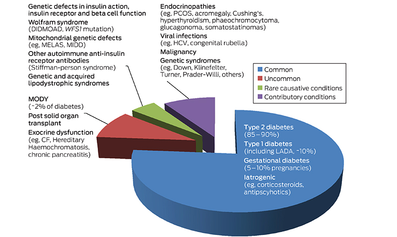 A review of maturity onset diabetes of the young (MODY