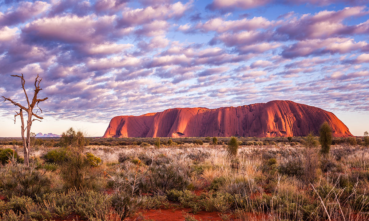 The Medical Journal of Australia endorses the Uluru Statement | The ...