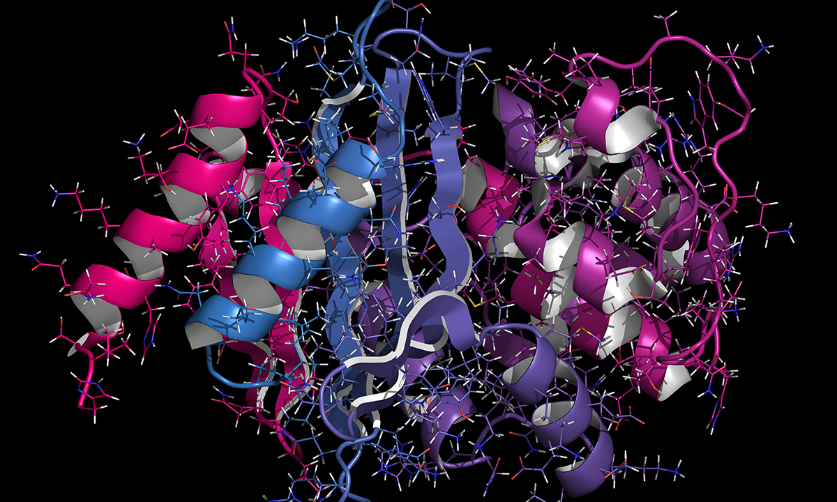 Carbapenemase‐producing Enterobacterales: a profound threat to Australian public health