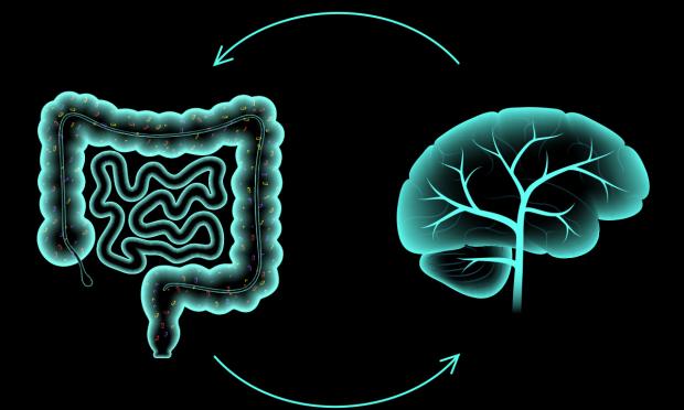 Disorders of gut–brain interaction, eating disorders and gastroparesis: a call for coordinated care and guidelines